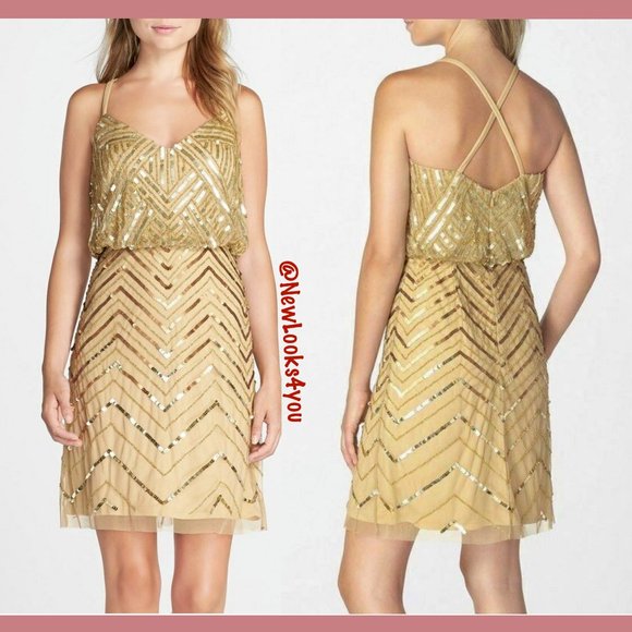 NWT Adrianna Papell Embellished‎ Mesh Blouson Dress - Picture 1 of 12